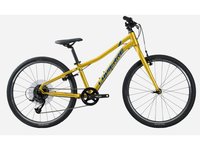 lapierre-prorace-24-boy-bicicleta-para-ninos-2022